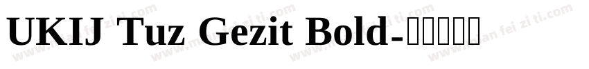 UKIJ Tuz Gezit Bold字体转换